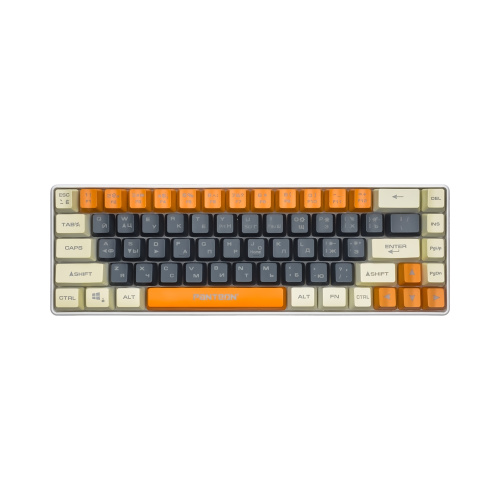 Игровая клавиатура PANTEON M2 Grey-Ivory TKL