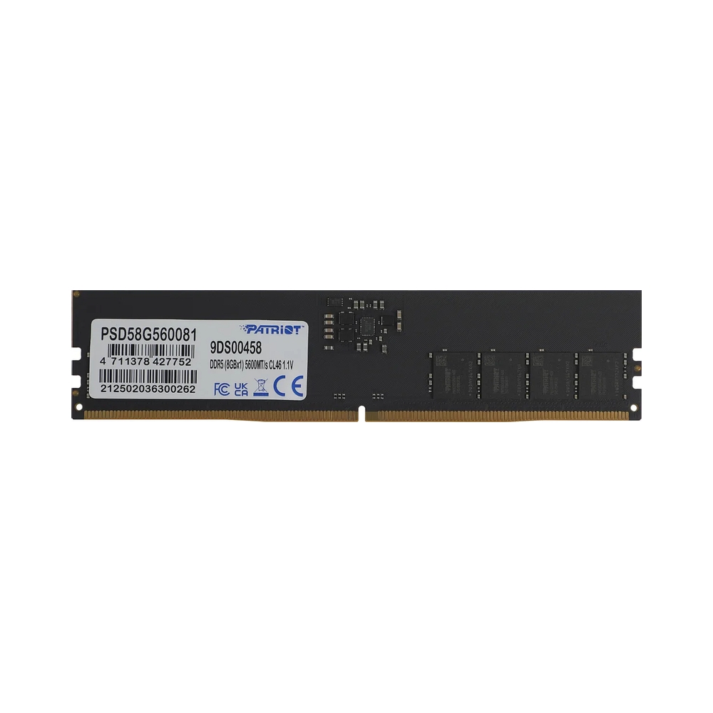 Оперативная память Patriot Signature Line [PSD58G560081] 8GB D5 — KSKSHOP.RU