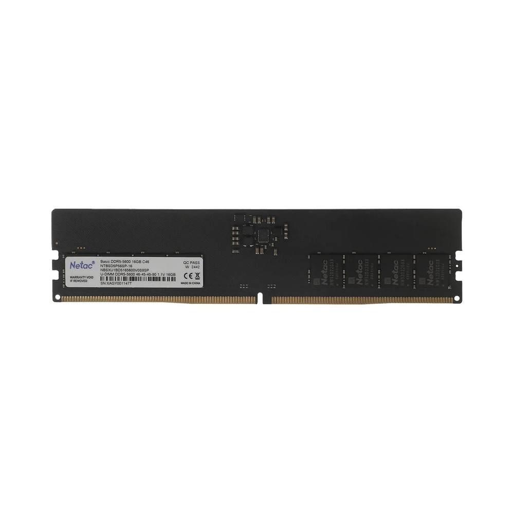 Оперативная память Netac Basic [NTBSD5P56SP-16] 16GB D5 — KSKSHOP.RU