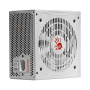Блок питания Bloody ATX 750W BD-PS750G 80+ gold (20+4pin) APFC 120mm fan 6xSATA Cab Manag RTL